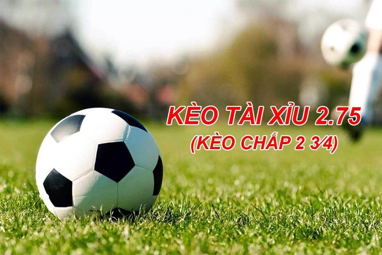 Làm Chủ Kèo 2.75 Và Tận Thu Lợi Nhuận Khủng Từ Những Trận Cầu Đỉnh Cao