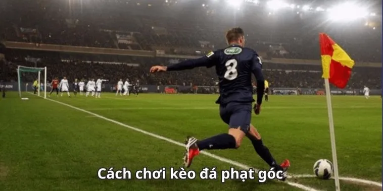 Nghệ Thuật Dự Đoán Kèo Phạt Góc Bóng Đá Và Những Pha Phối Hợp Đỉnh Cao