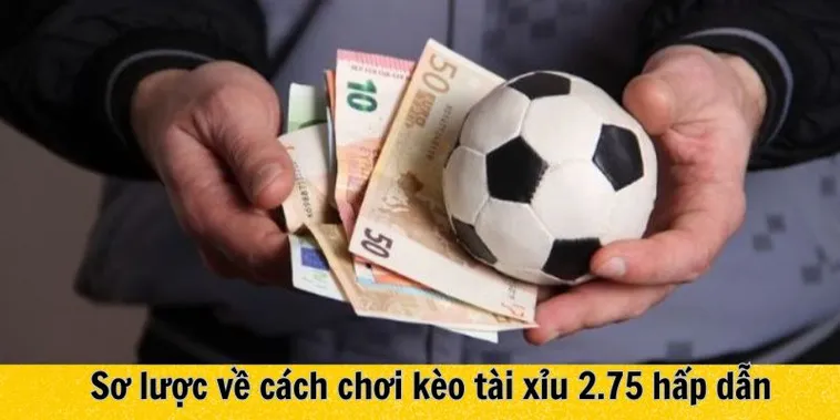 Bí Quyết Chiến Thắng Rực Rỡ Với Kèo Chấp 2 3/4 Cho Game Thủ