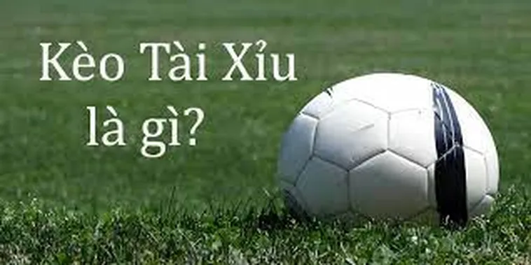 Bí Quyết Chinh Phục Kèo Tài Xỉu Và Nhận Thưởng Cực Lớn Mỗi Ngày