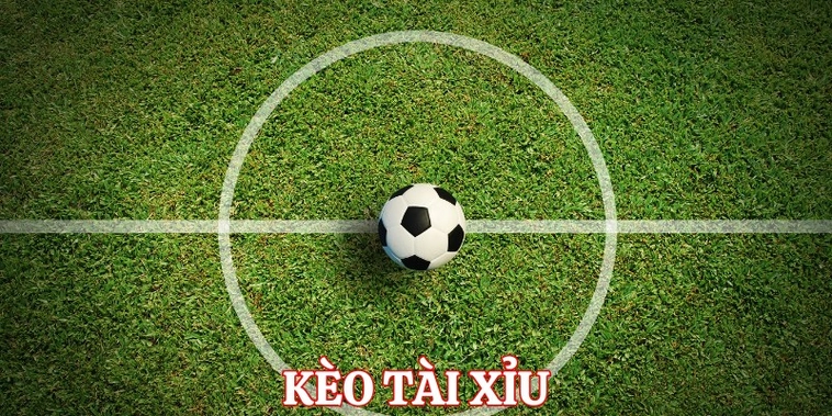 Bí Quyết Chinh Phục Kèo Tài Xỉu Bóng Đá Và Những Con Số Biết Nói