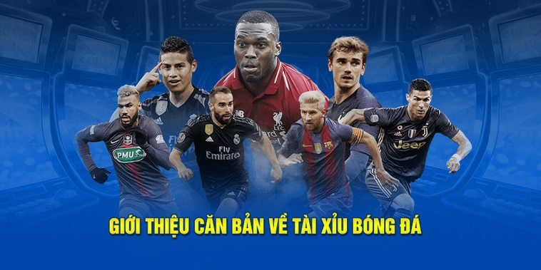 Bí Quyết Chinh Phục Kèo Tài Xỉu Bóng Đá Và Những Con Số Biết Nói