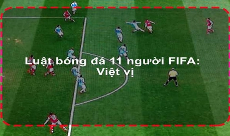 Quy Định Về Luật Sân Bóng Đá Thi Đấu Chuyên Nghiệp Theo Chuẩn FIFA