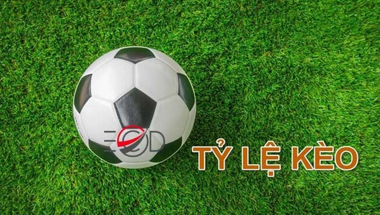Tỷ Lệ Kèo Nhà Cái - Phân Tích Tỷ Lệ Kèo Bóng Đá Hôm Nay